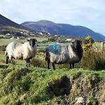 Taobh Coille Hotel 5*