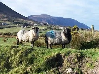 Taobh Coille Hotel 5*